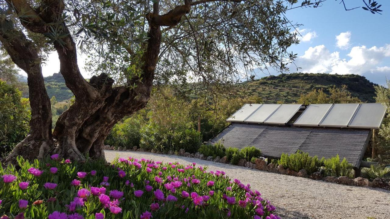 Casa Olea Bed and Breakfast Priego de Córdoba Εξωτερικό φωτογραφία