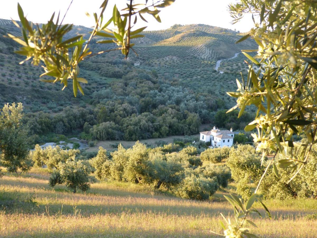 Casa Olea Bed and Breakfast Priego de Córdoba Εξωτερικό φωτογραφία