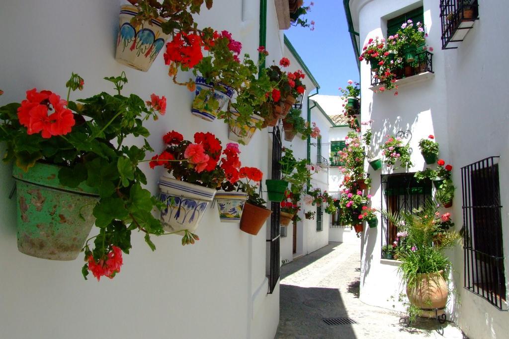 Casa Olea Bed and Breakfast Priego de Córdoba Εξωτερικό φωτογραφία