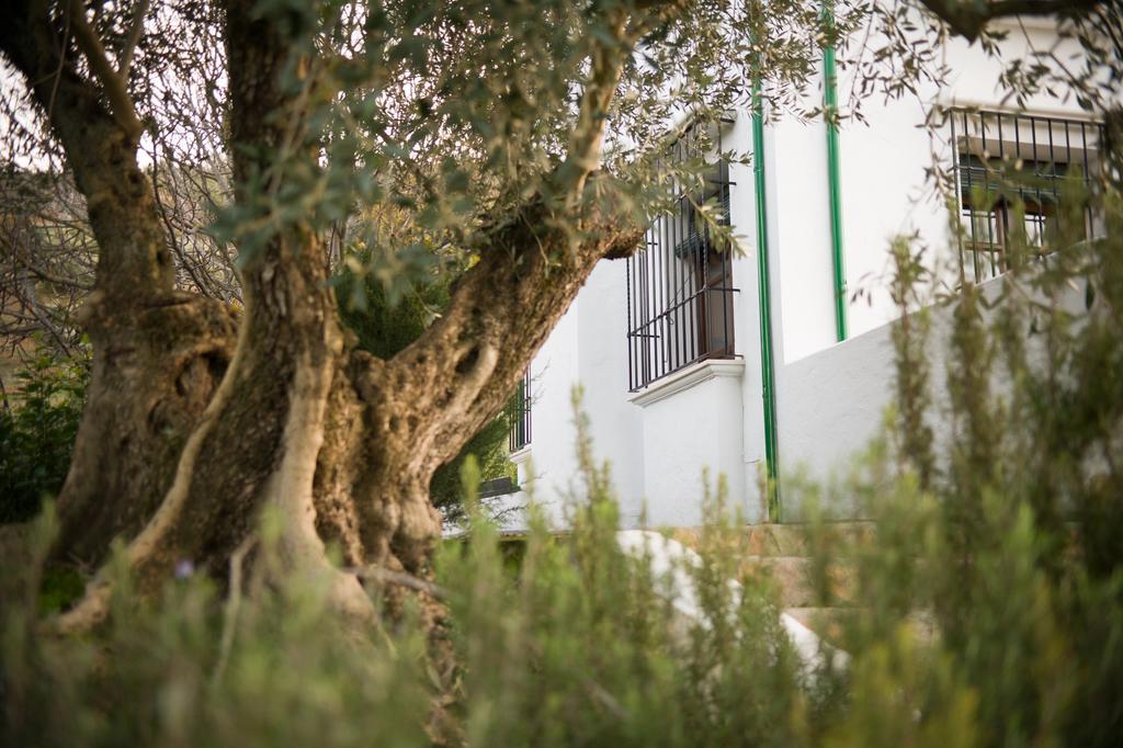 Casa Olea Bed and Breakfast Priego de Córdoba Εξωτερικό φωτογραφία