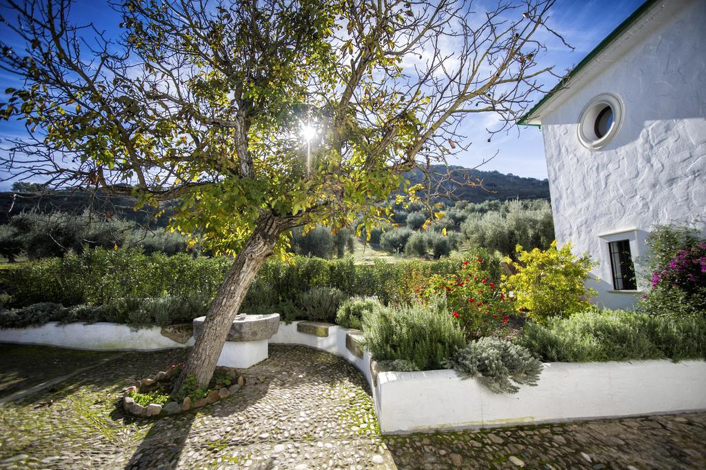 Casa Olea Bed and Breakfast Priego de Córdoba Εξωτερικό φωτογραφία